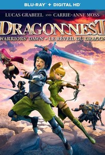 Dragon Nest Warriors Dawn 2014 Dub in Hindi full movie download